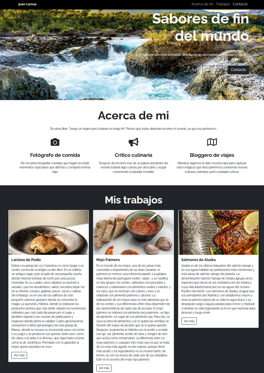 screenshot page portfolio